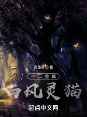 十二金仙封神了吗